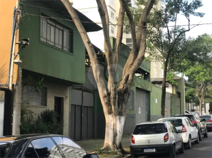 Foto REO1090553