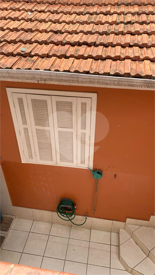 Foto REO1090559