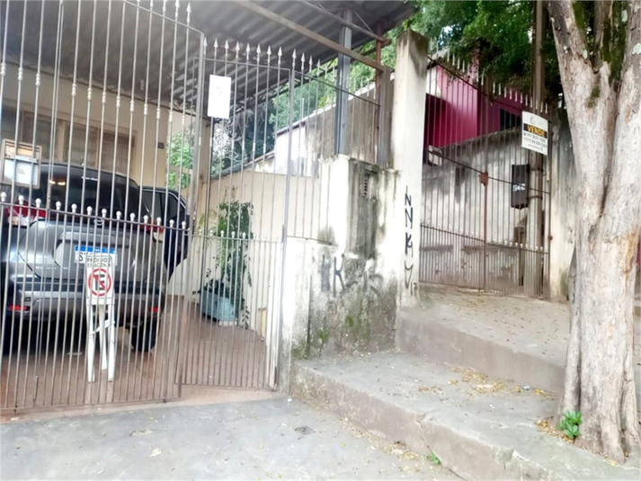 Foto REO1090585