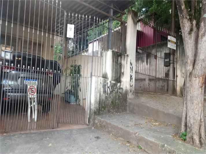 Foto REO1090585