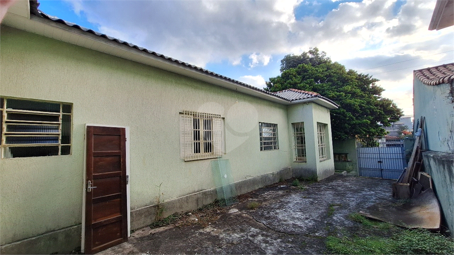 Foto REO1090591