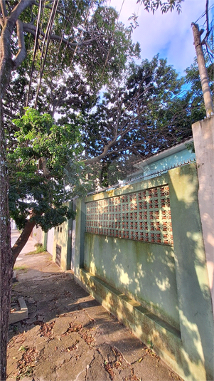 Foto REO1090591