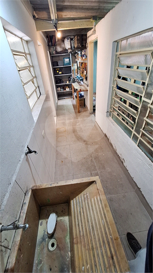 Foto REO1090591