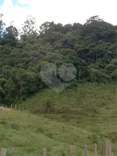 Foto REO1090622