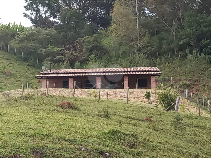 Foto REO1090622