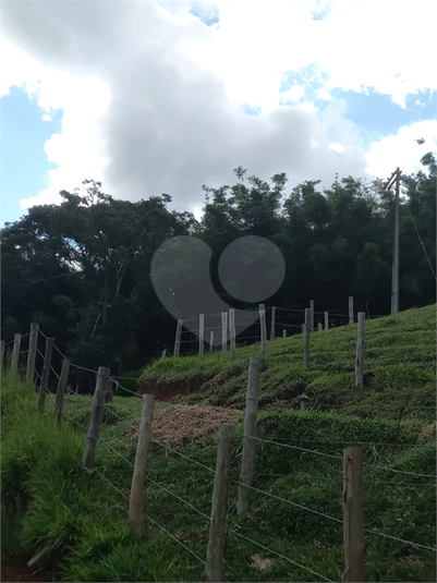 Foto REO1090622