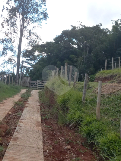 Foto REO1090622