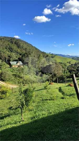 Foto REO1090622