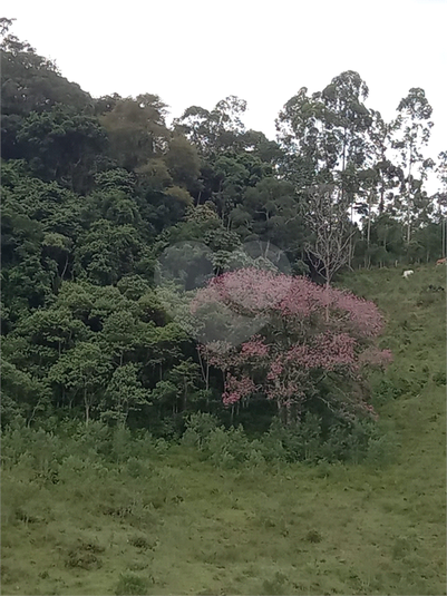 Foto REO1090622