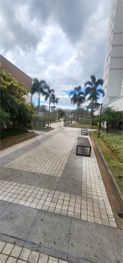 Foto REO1090632