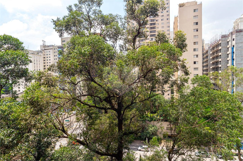 Foto REO1090633