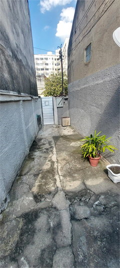 Foto REO1090635