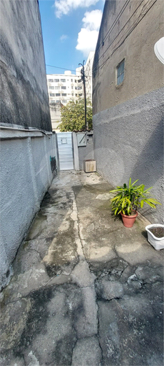 Foto REO1090635