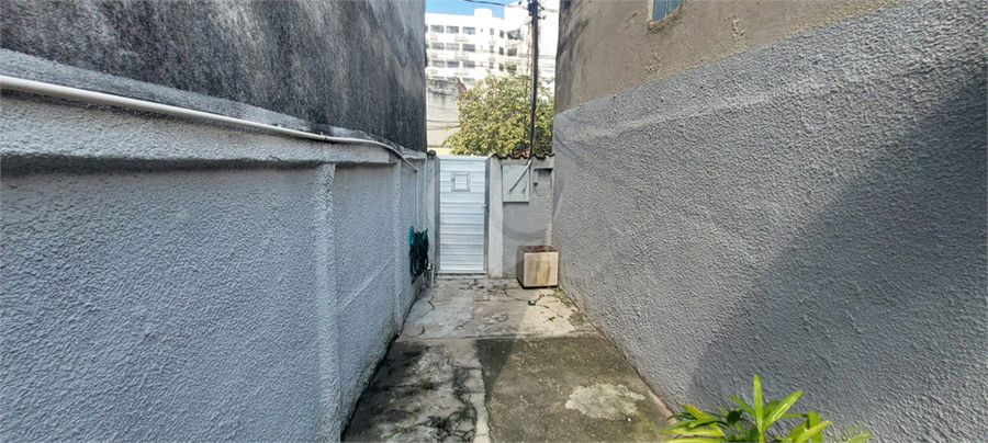 Foto REO1090635