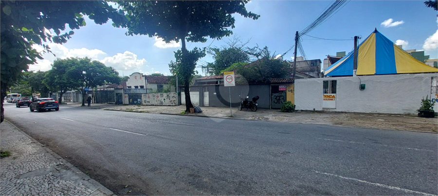 Foto REO1090635