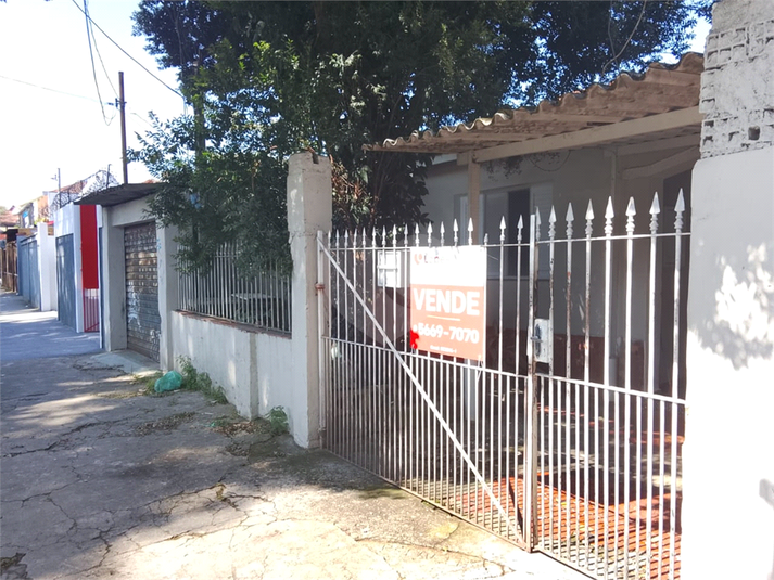 Foto REO1090638