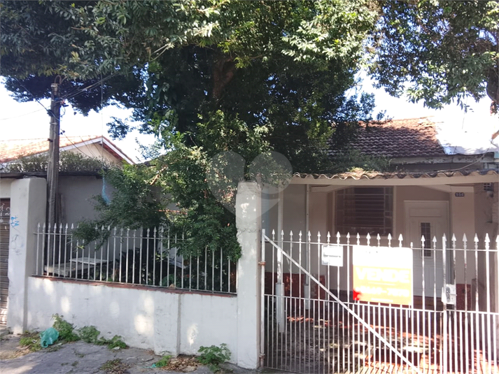 Foto REO1090638