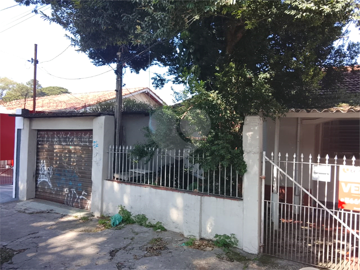 Foto REO1090638