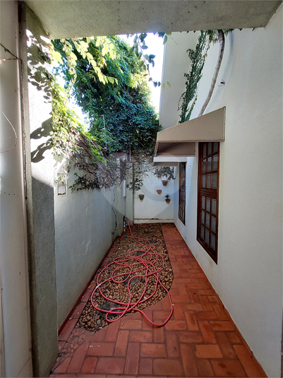 Foto REO1090647