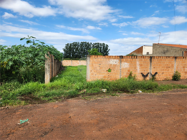Foto REO1090649