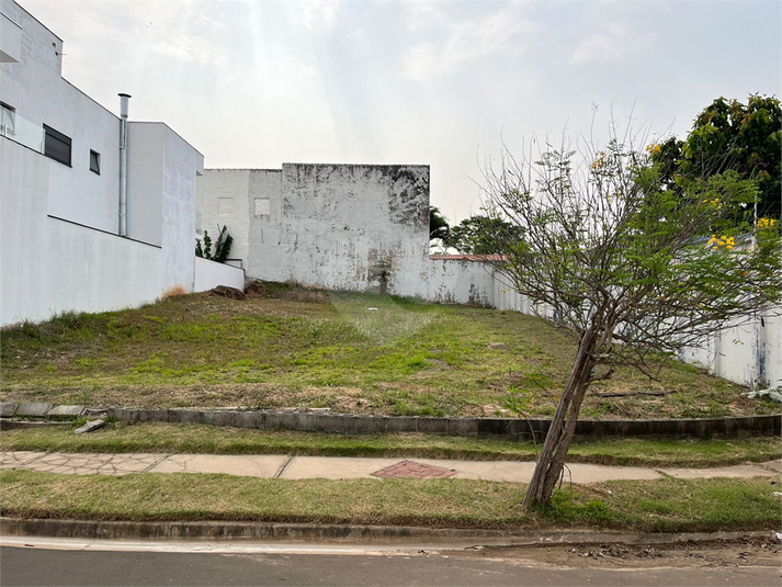 Foto REO1090657