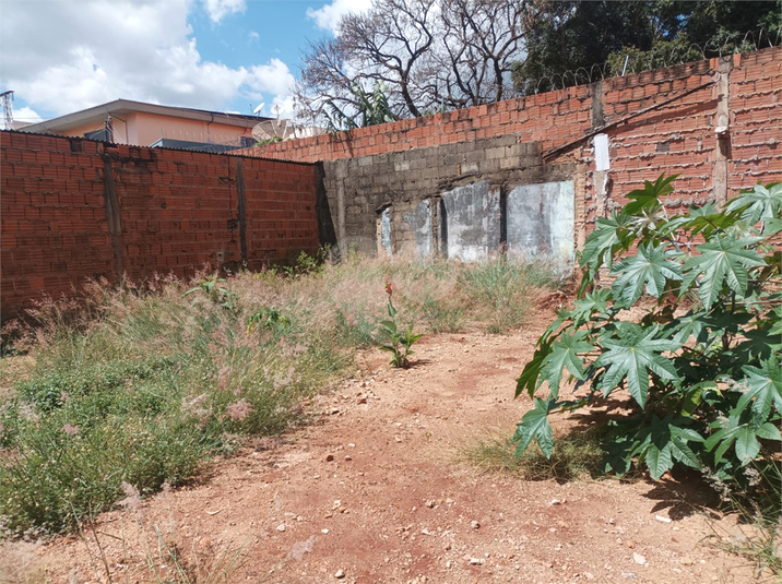 Foto REO1090677