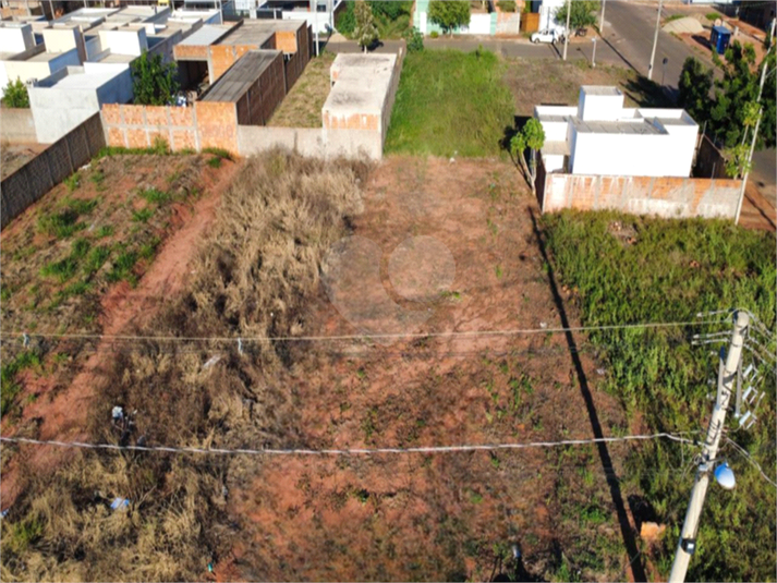 Foto REO1090679