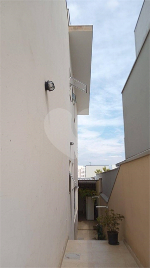 Foto REO1090682