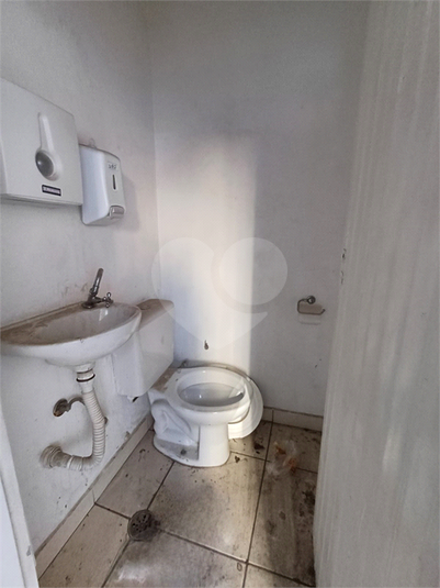 Foto REO1090688