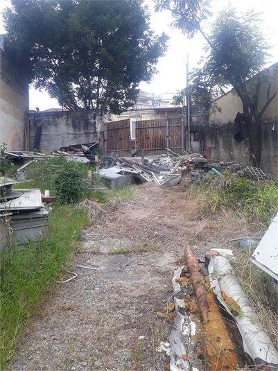 Foto REO1090689