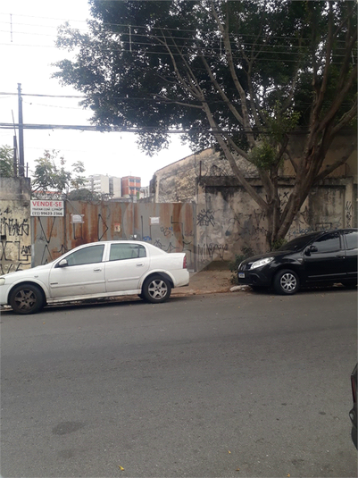 Foto REO1090689