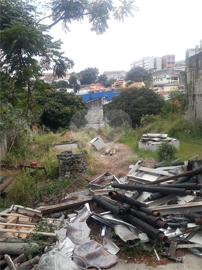 Foto REO1090689