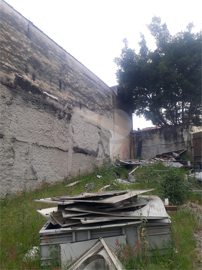Foto REO1090689
