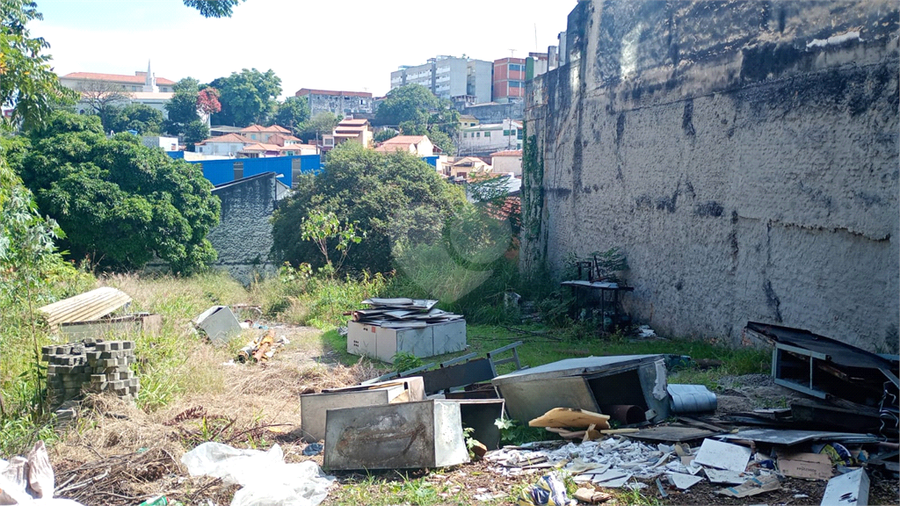 Foto REO1090689