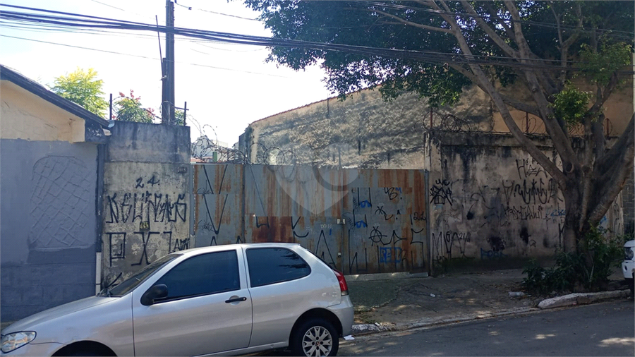 Foto REO1090689