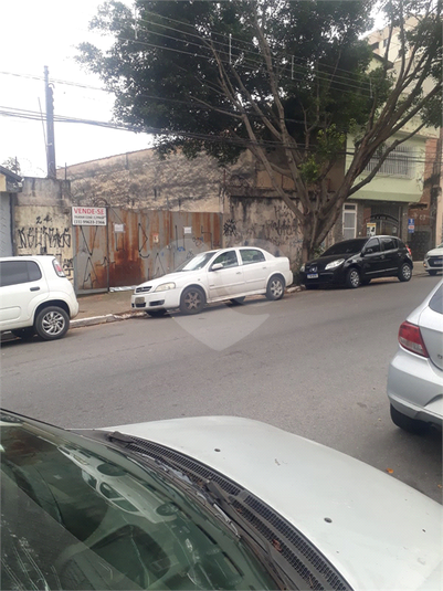 Foto REO1090689