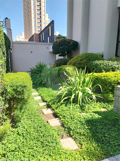 Jardim