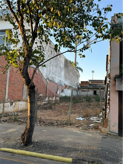 Foto REO1090722