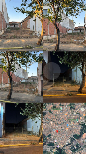 Foto REO1090722