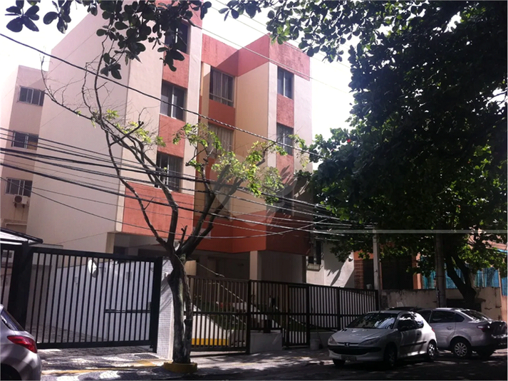 Foto REO1090732