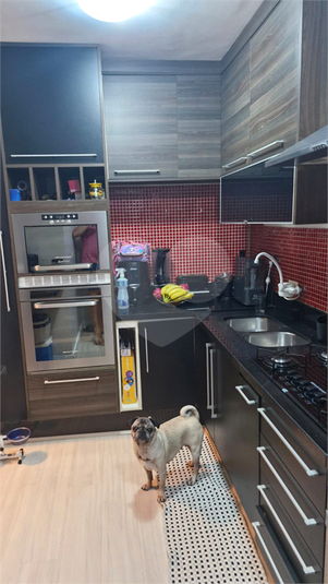 Foto REO1090734