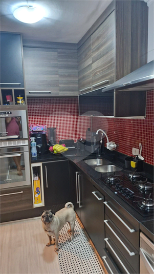 Foto REO1090734