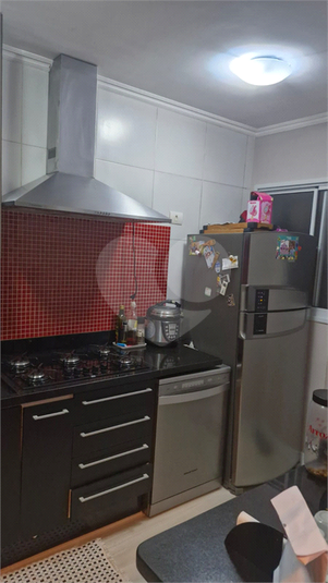 Foto REO1090734