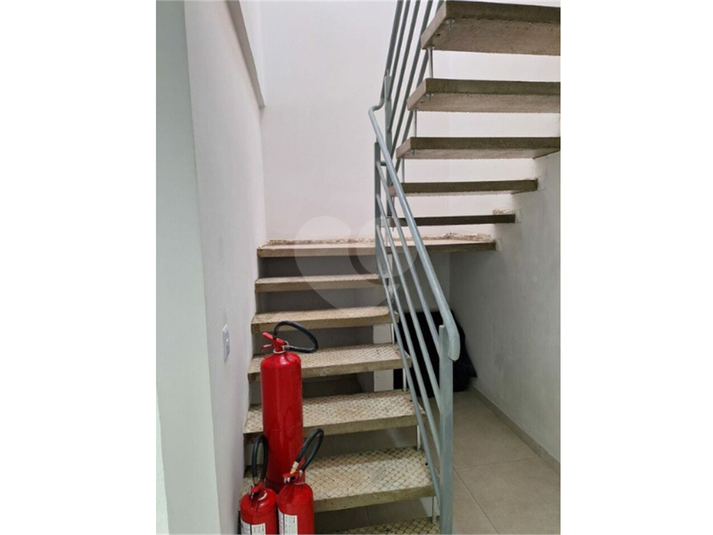 Foto REO1090738