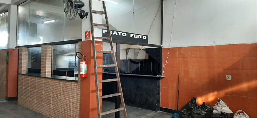 Foto REO1090754