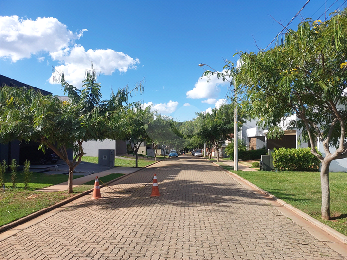 Foto REO1090767