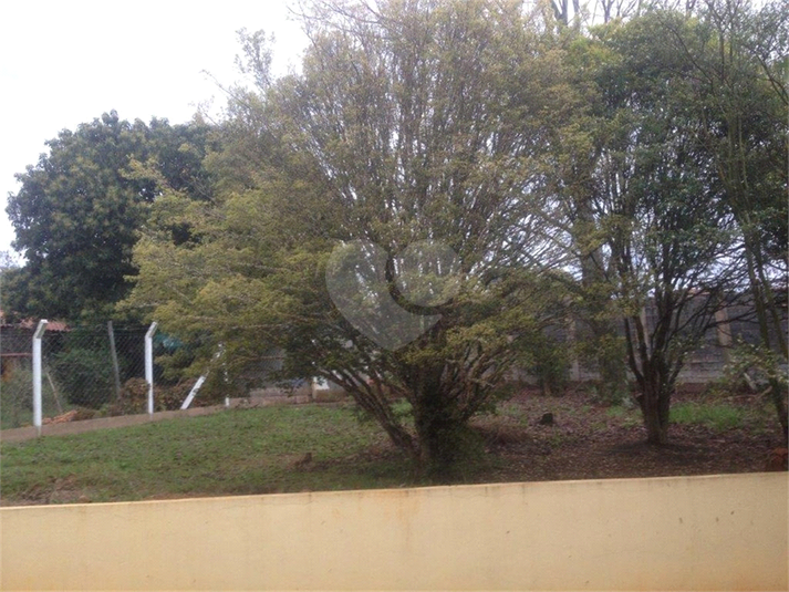 Foto REO1090777