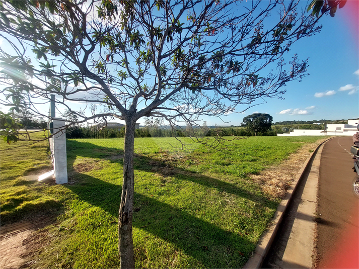 Foto REO1090781