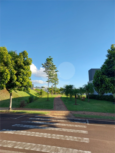 Foto REO1090781