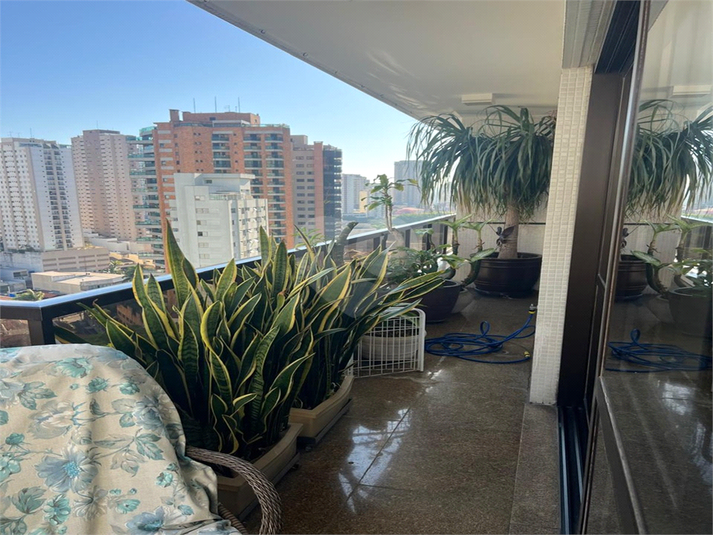 Foto REO1090782